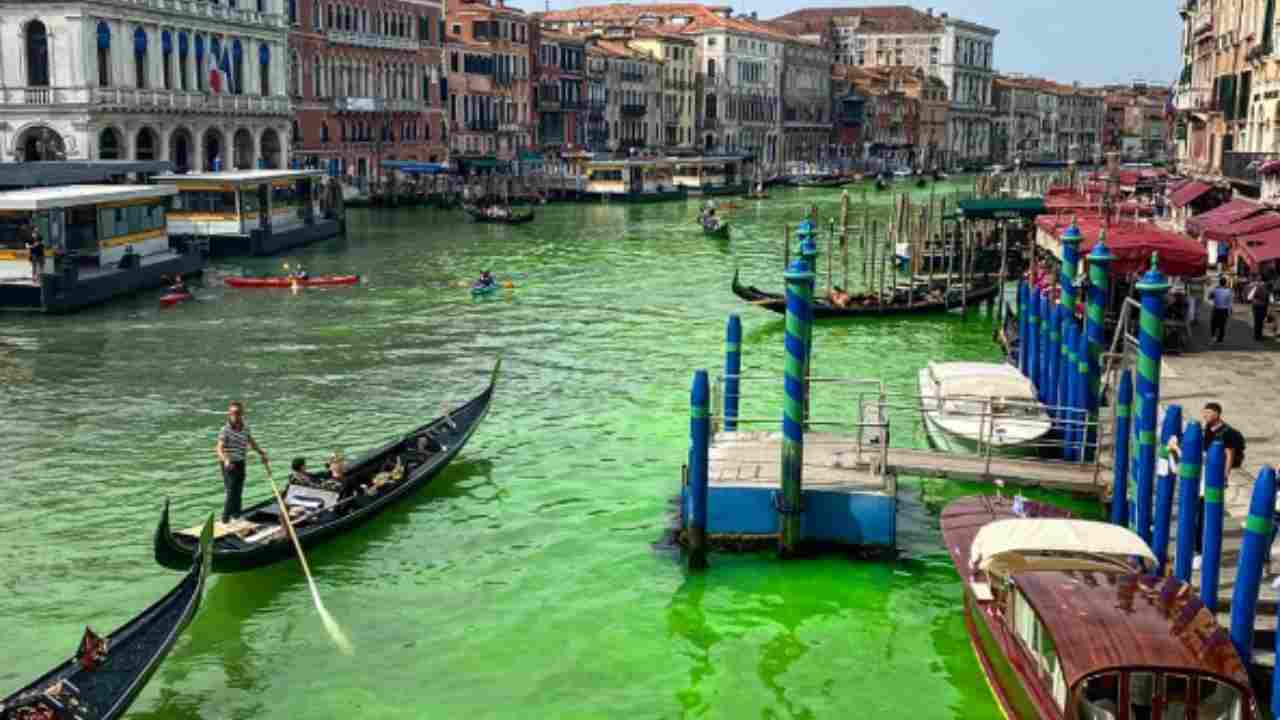 Venezia laguna colorata di verde