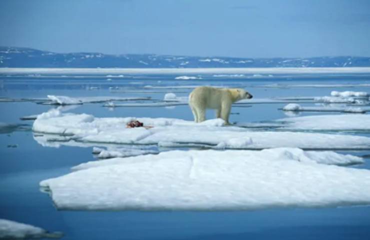 Polo Nord ghiacciaio