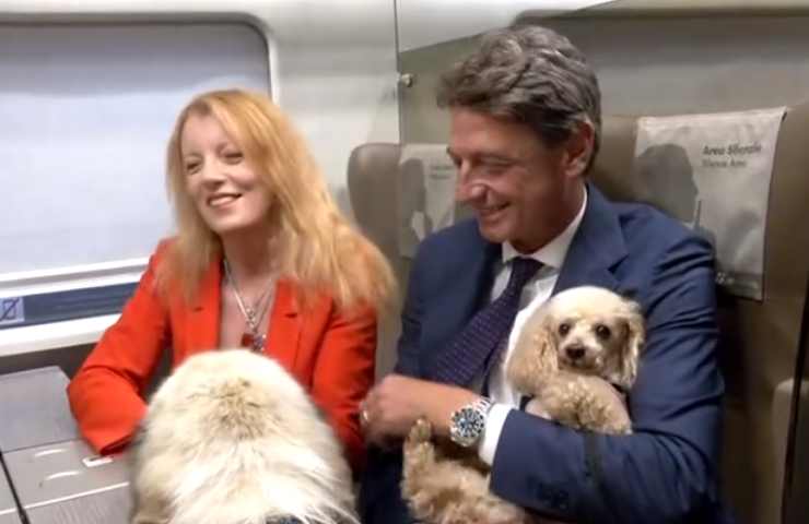 viaggi in treno con gatti e cani