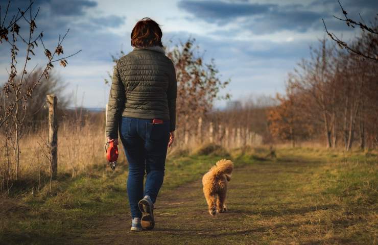 camminare a piedi