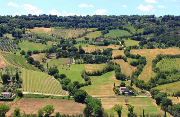 Orvieto, i consigli per scoprire i segreti della città