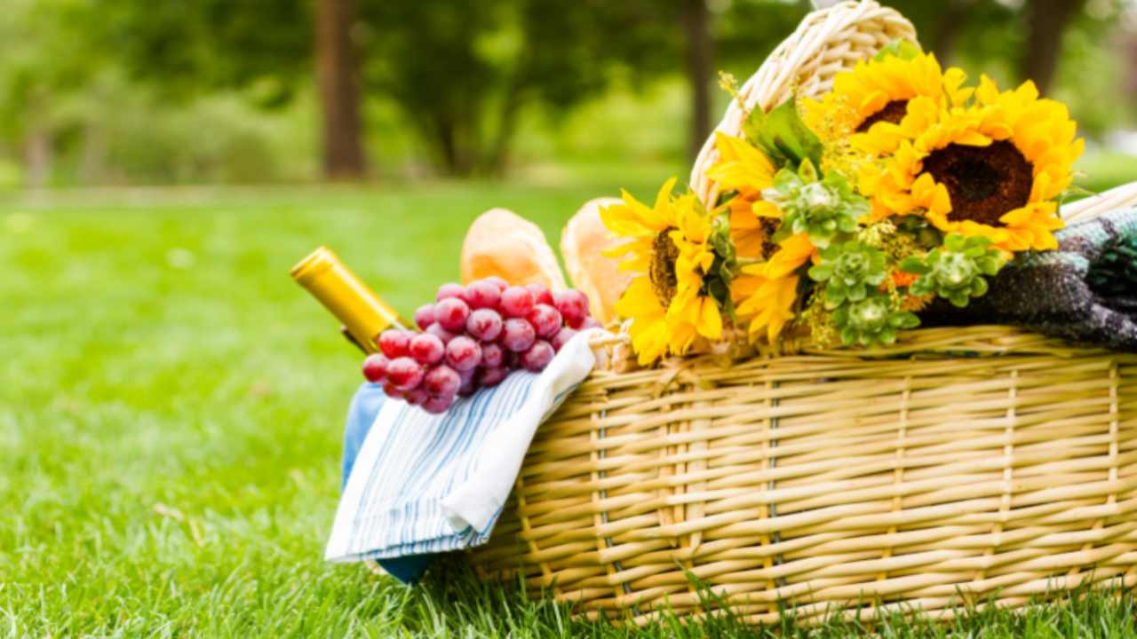 picnic girasoli