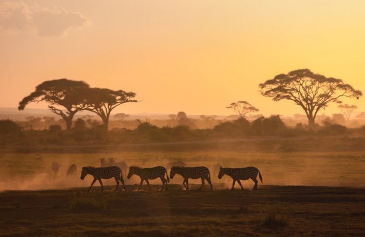 Viaggio in Africa di 10 giorni