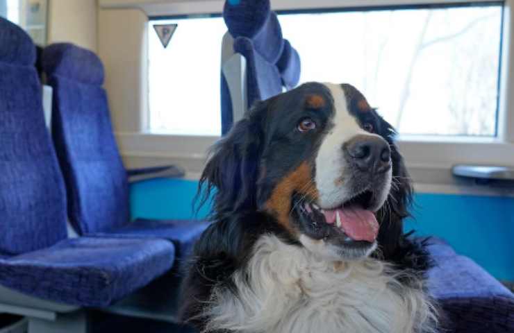 LEIDAA a favore del viaggio in treno