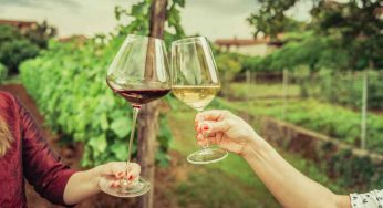 Il luogo da sogno in cui godersi una degustazione in vigna: perfetto per coppie e single