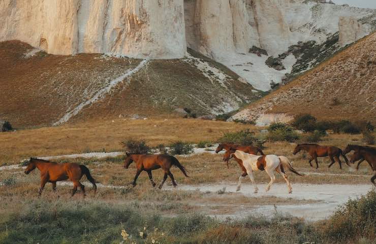 Campo Imperatore