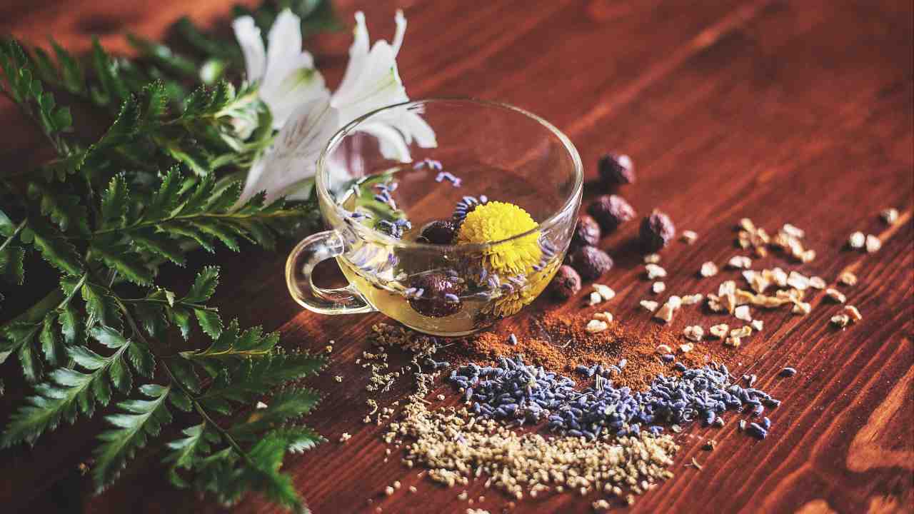 nutrienti tè fertilizzante piante giardino casa
