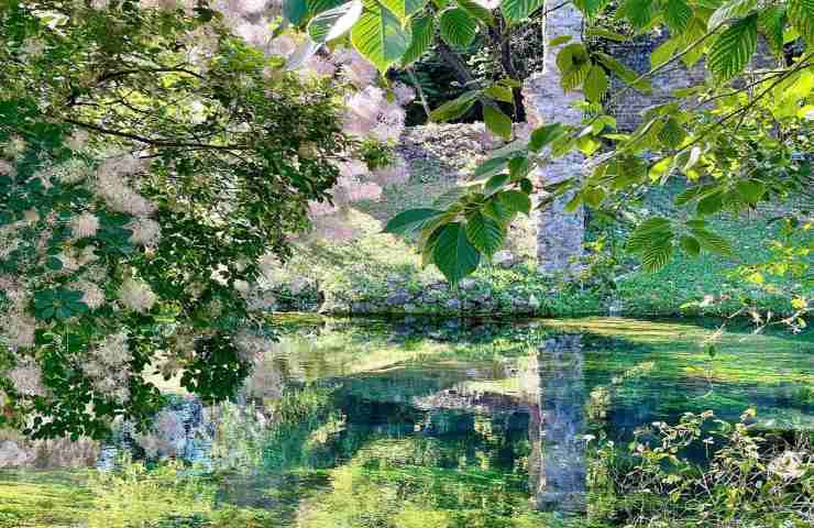 Giardino di Ninfa dove si trova