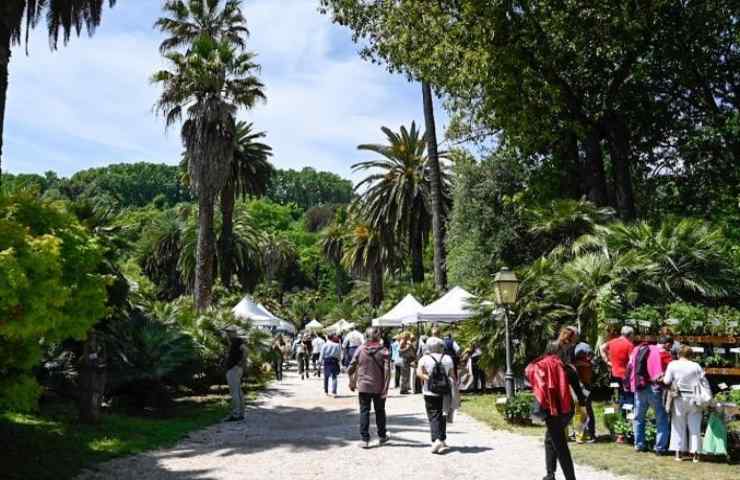 orto botanico di roma dove si trova