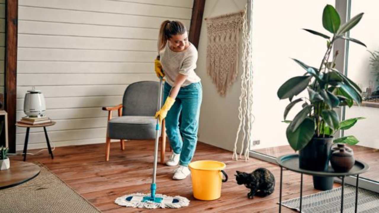 pulire casa modo intelligente