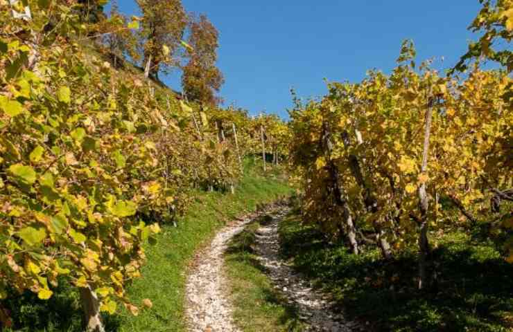 5 viaggi autunno Italia