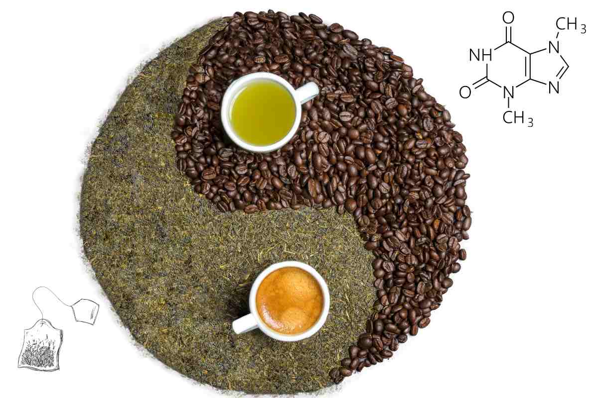 differenze caffeina teina